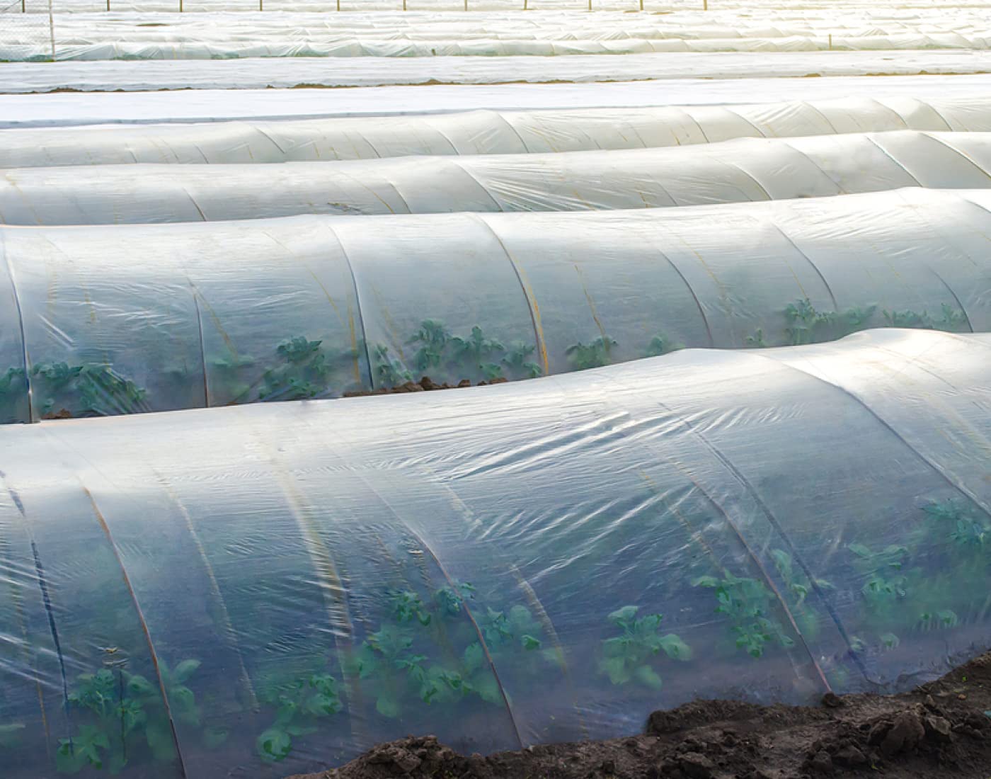 3m x 6m Bache pour Serre, Film Polyéthylène de Bonne Qualité, Film de Serre Tunnel pour Couvrir Les Jardin, Légumes und Tomate