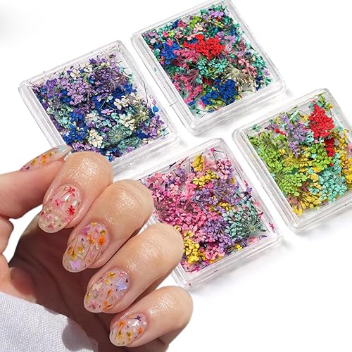 4Box 3D Dried Flowers Nail Art Stickers Colorful Dry Flower