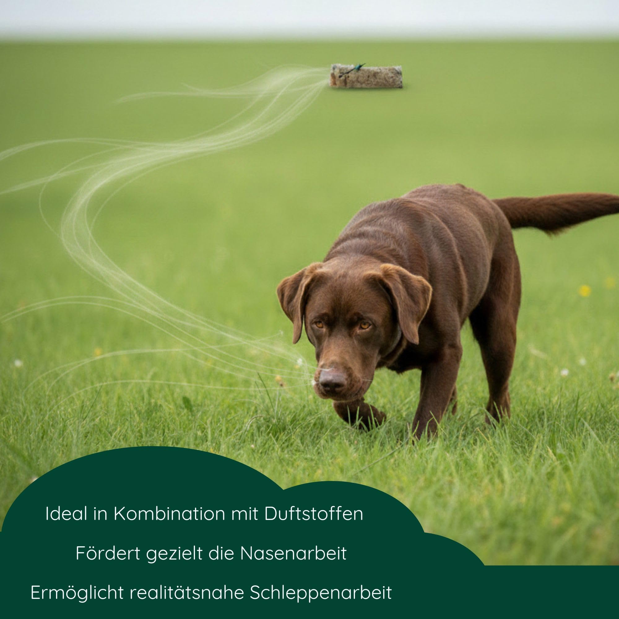 ROMNEYS Kaninchendummy | Standard-Dummy 500g mit echtem Kaninchenfell überzogen | Wild-Apportel für die jagdliche Hundeausbildung