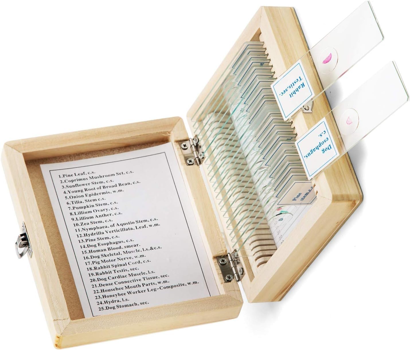 Caja de madera de microscopio óptico de 25 piezas SWIFT para aprender el conjunto experimental de muestras de tejidos de animales y plantas permanentes