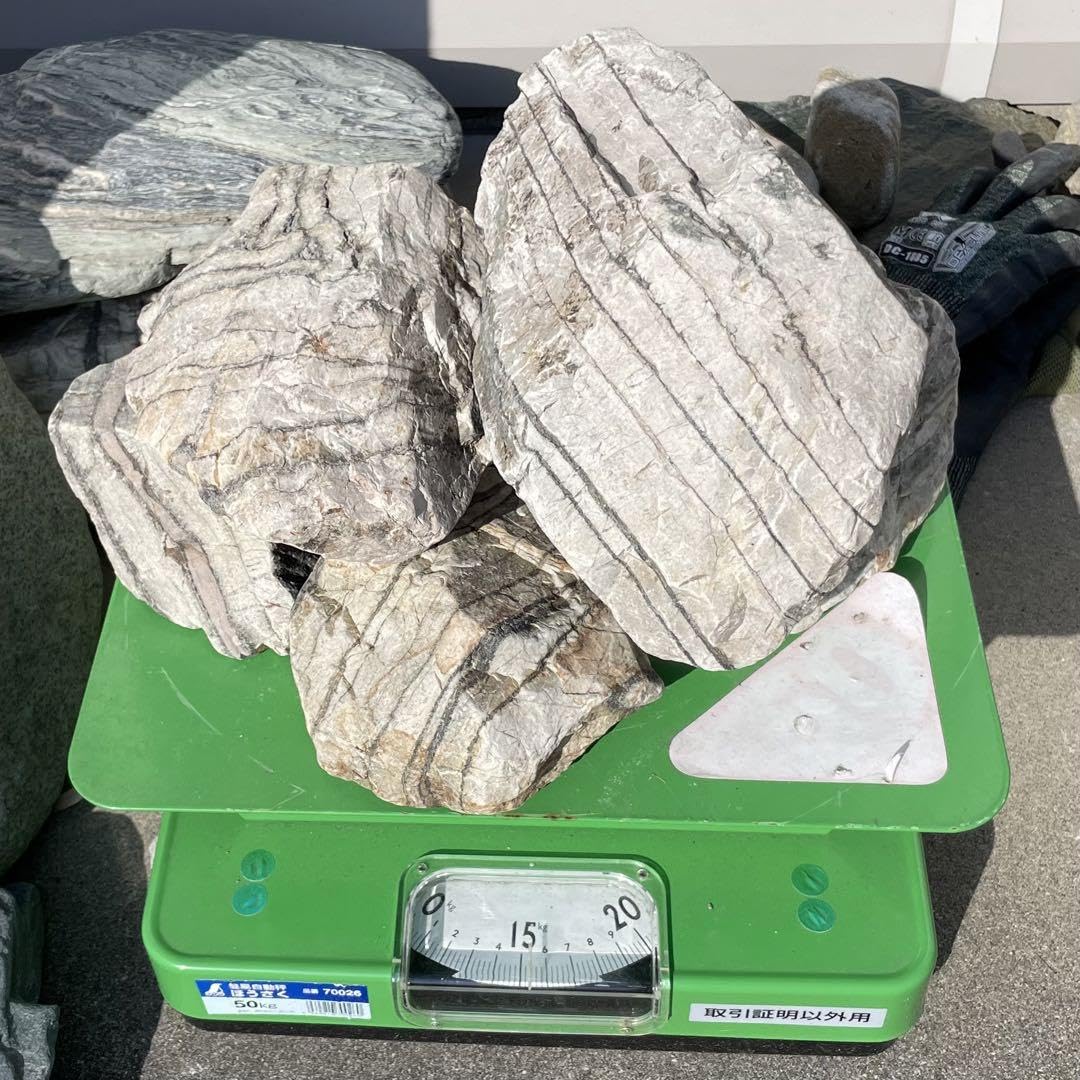 京都 桂川紫石 抜け石 18kg 嵐山 保津峡 庭石 観賞石 水石 京都 桂川紫石 抜け石 18kg 嵐山 保津峡 庭石 観賞石 水石