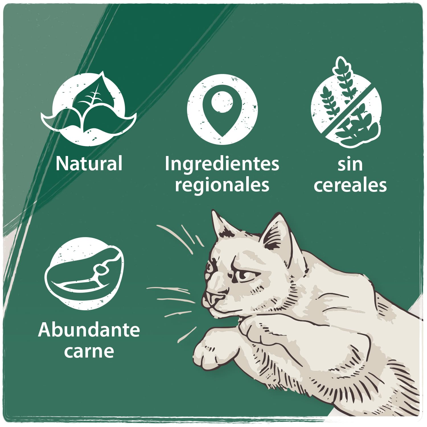 VenandiAnimal Comida seca de calidad para gatos - pack de degustación de cordero, 4 x 1,5 kg (paquete de 4), sin cereales y con carne y pescado frescos