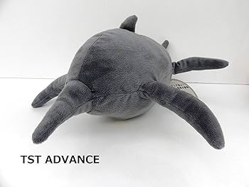 ぬいぐるみ　確認用 71UCd3n1MmL._UF350,350_QL50_.jpg