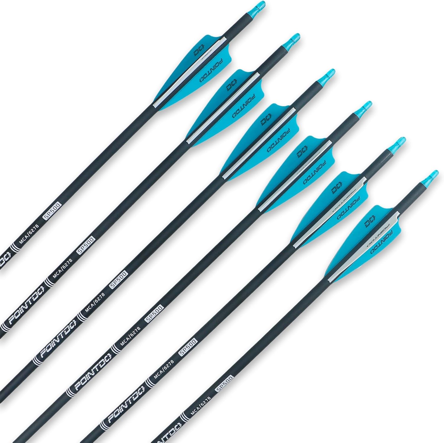 28"/30"/32inch Carbon Arrow Practice Hunting Arrows with Removable Tips for Compound & Recurve Bow(Pack of 12)