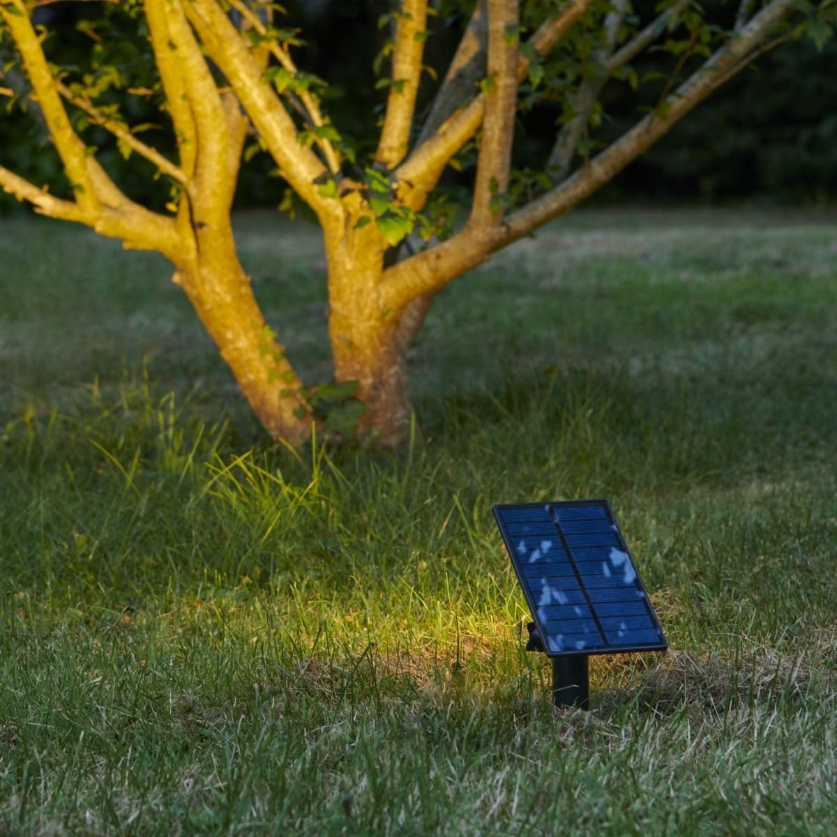 Auraglow Faretti Solari a Picchetto, Montaggio Terra o Parete, Set da 8 | Accento LED da esterno per alberi e piante, IP54, batteria al litio, doppia installazione, nessun cablaggio