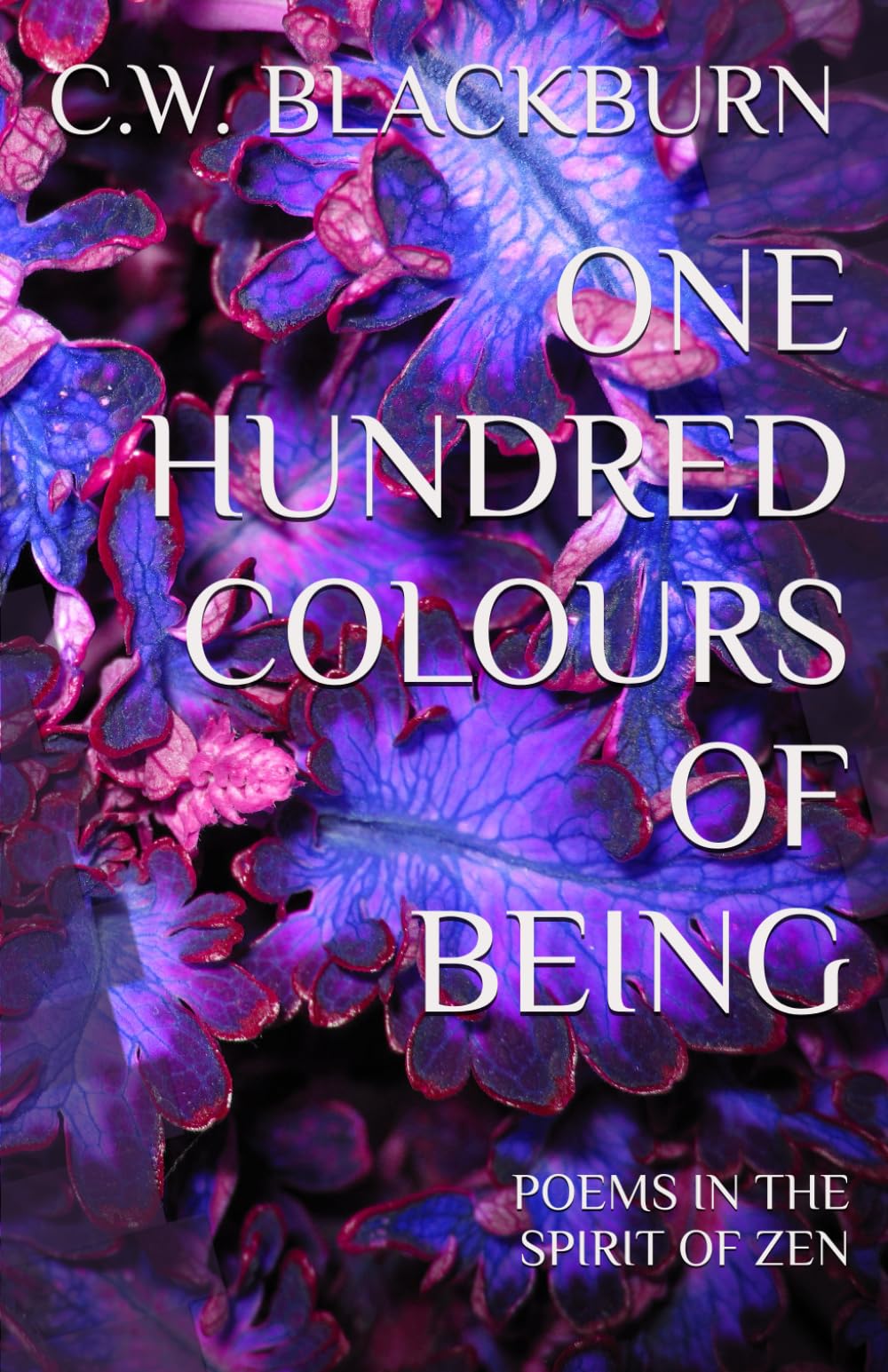 One Hundred Colours of Being: Poems in the Spirit of Zen