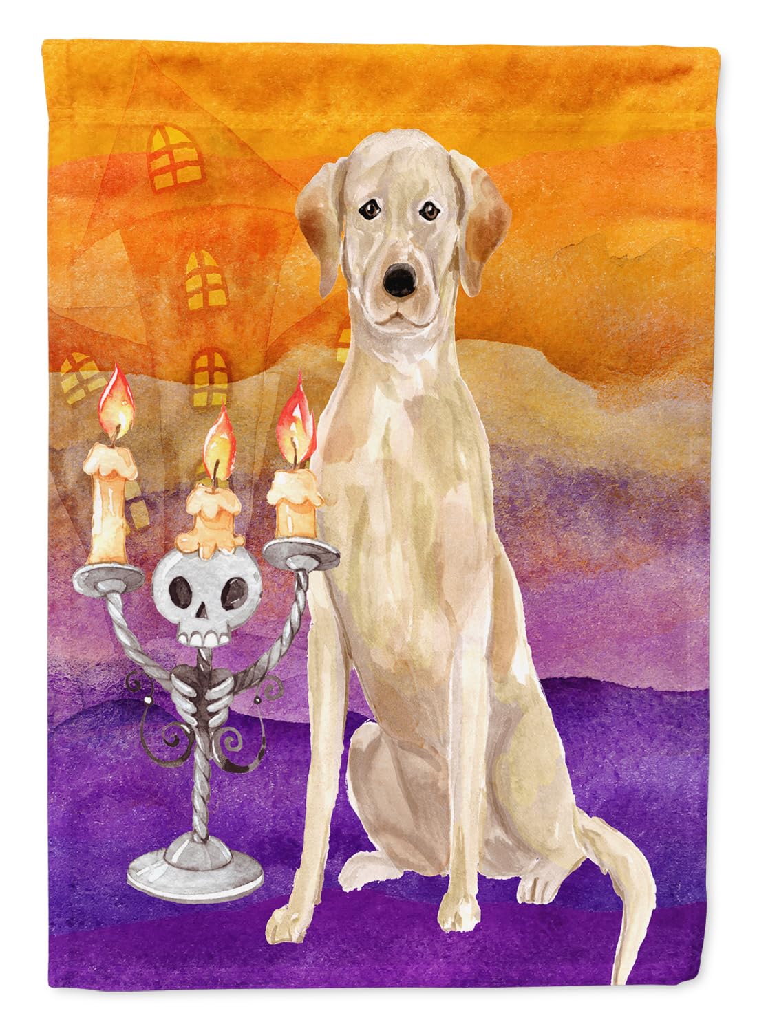 Drapeau Labrador jaune Halloween multicolore imprimé double face haute résistance pour extérieur