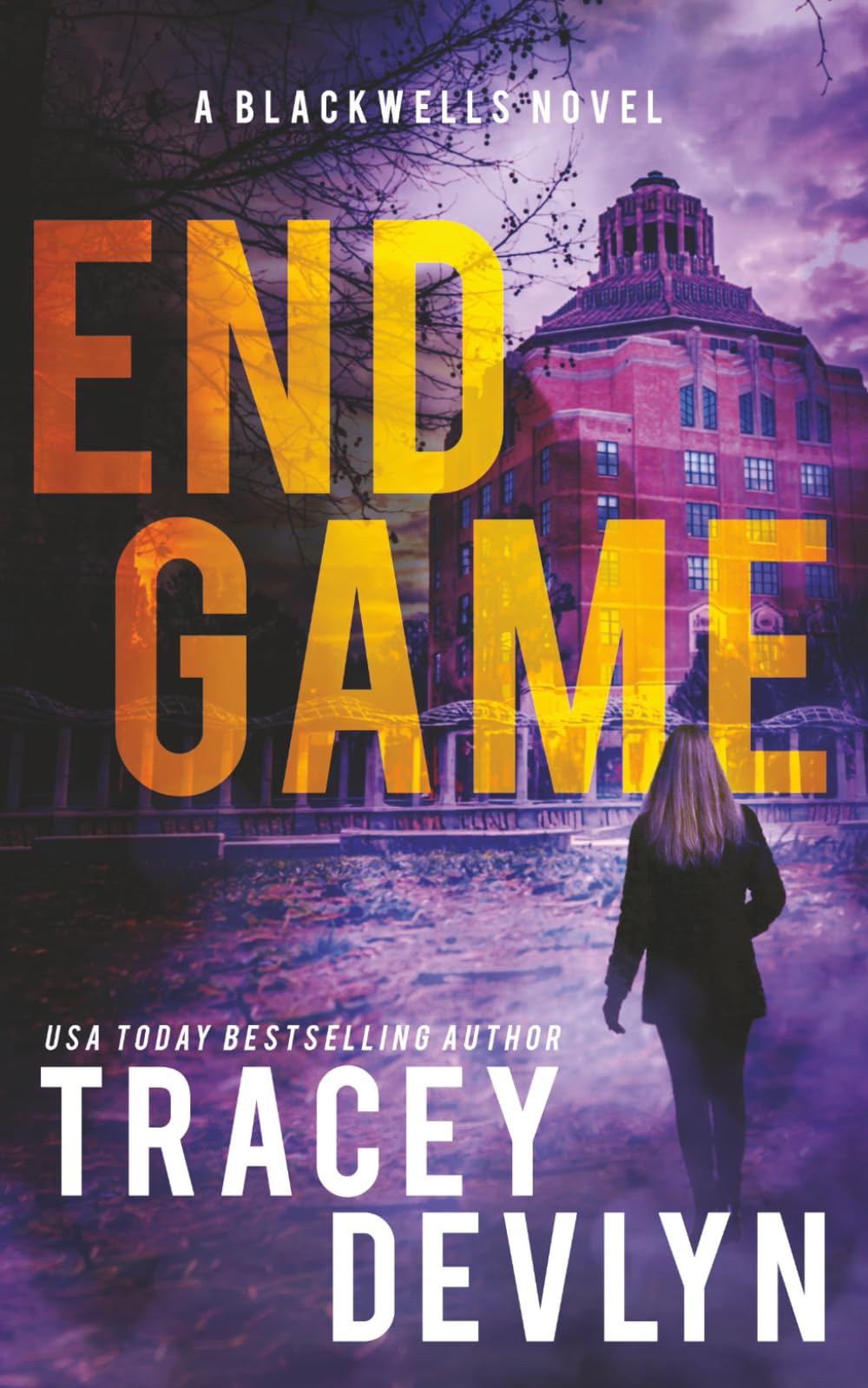 End Game: A Romantic Suspense Novel (Book 5) (Steele Ridge: The Blackwells)