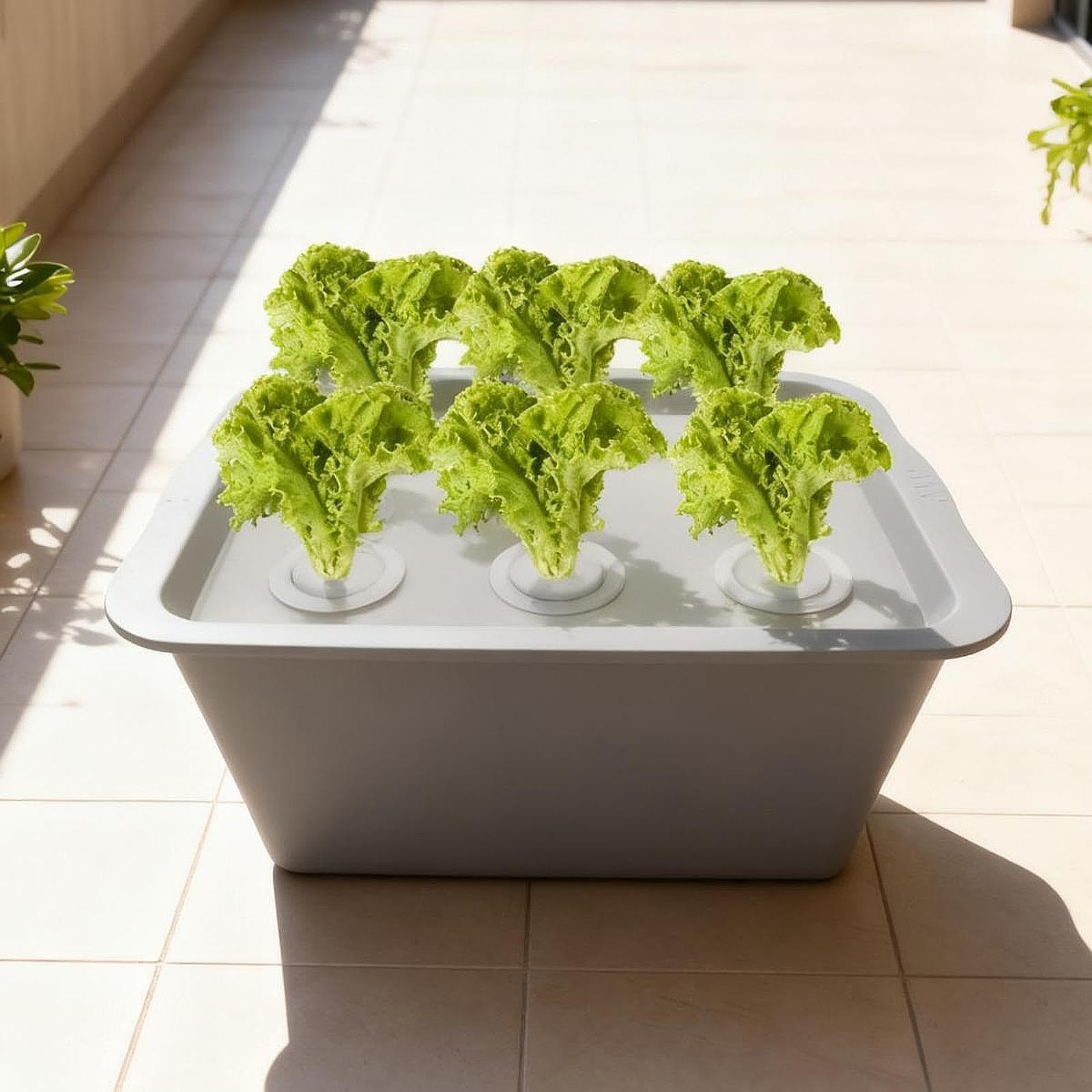 Générique Boîte Hydroponique Système d'Irrigation Automatique Kit de Culture Bac de Plantation Compact et Solide Adaptée à la Production de Légumes