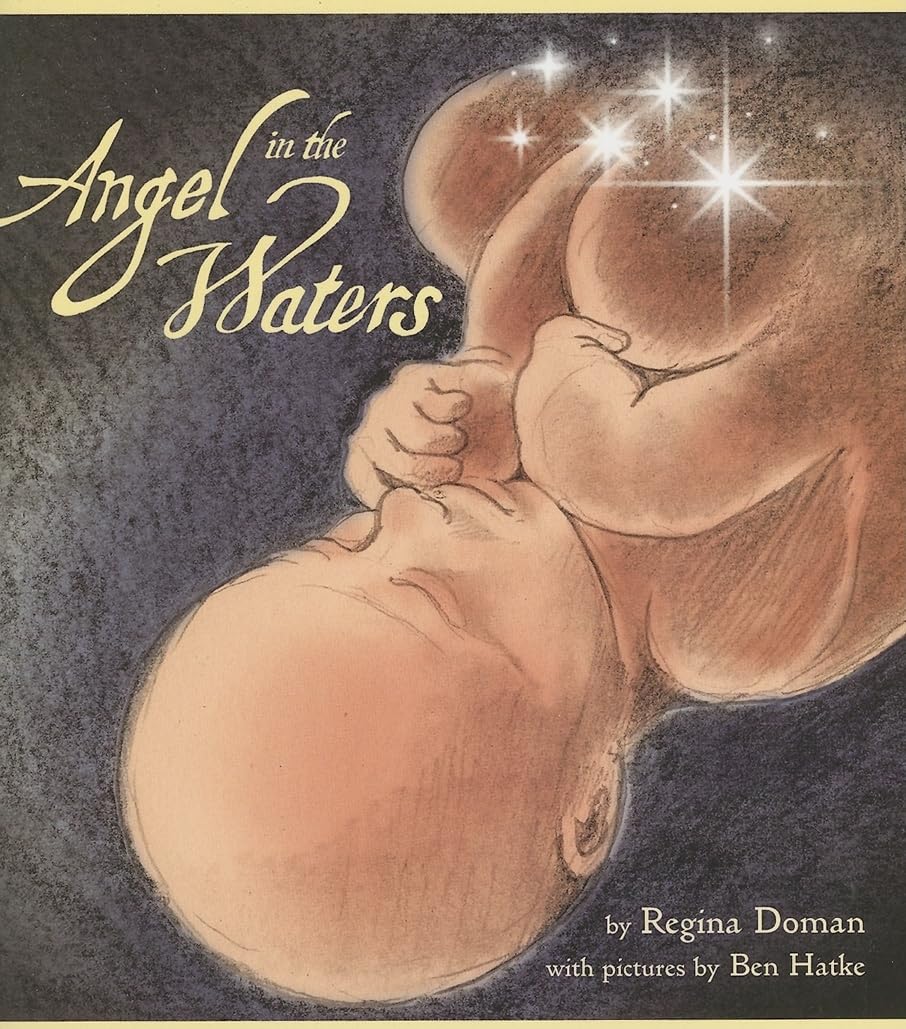 Regina Doman Angel in the Waters – Buch