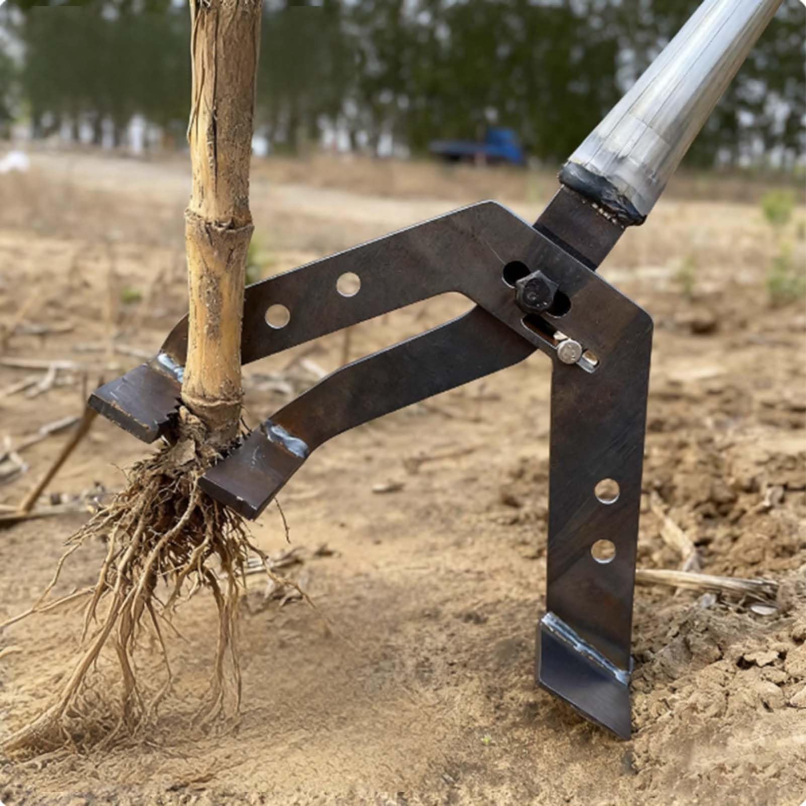 Extractor de árboles jóvenes Alto apalancamiento, removedor malezas jardín para arrancar Tallos leñosos, arbustos, Enredaderas, Herramienta Manual Que Ahorra Esfuerzo para y paisajismo