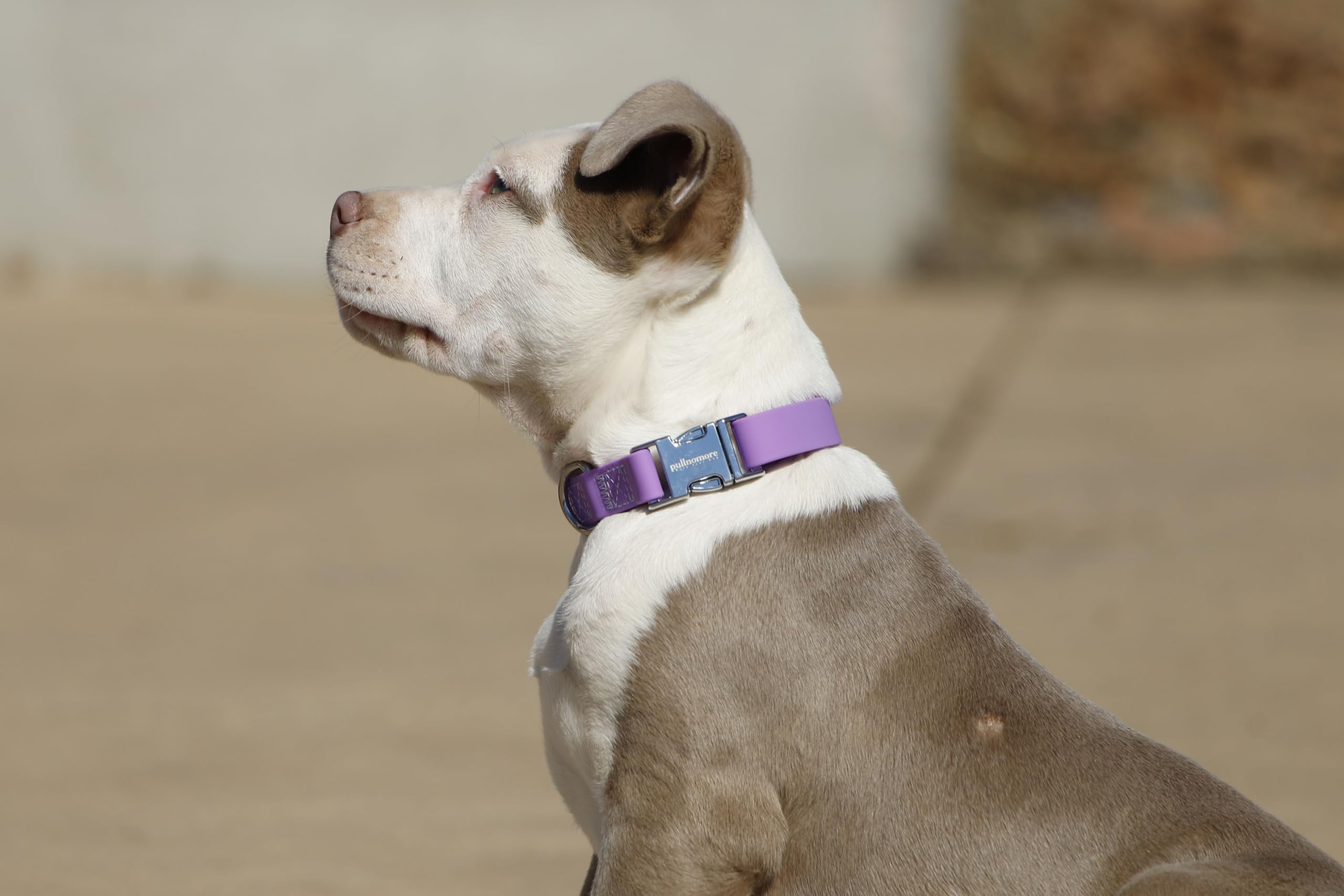Pullnomore No-Pull Dog Leash and Matching Collar, Instantly Stop Your Dog from Pulling, Durable PVC Material, Multiple Colors and Sizes - image 7
