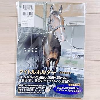 タイトルホルダー 豪華セット 競馬 お待たせしました！タイトルホルダー新発売！ この春、天皇賞(春