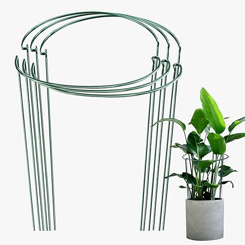 JOYSEUS Paquete de 6 estacas de soporte para plantas, estacas de metal para plantas de jardín, anillo de soporte de plantas medio redondo verde,