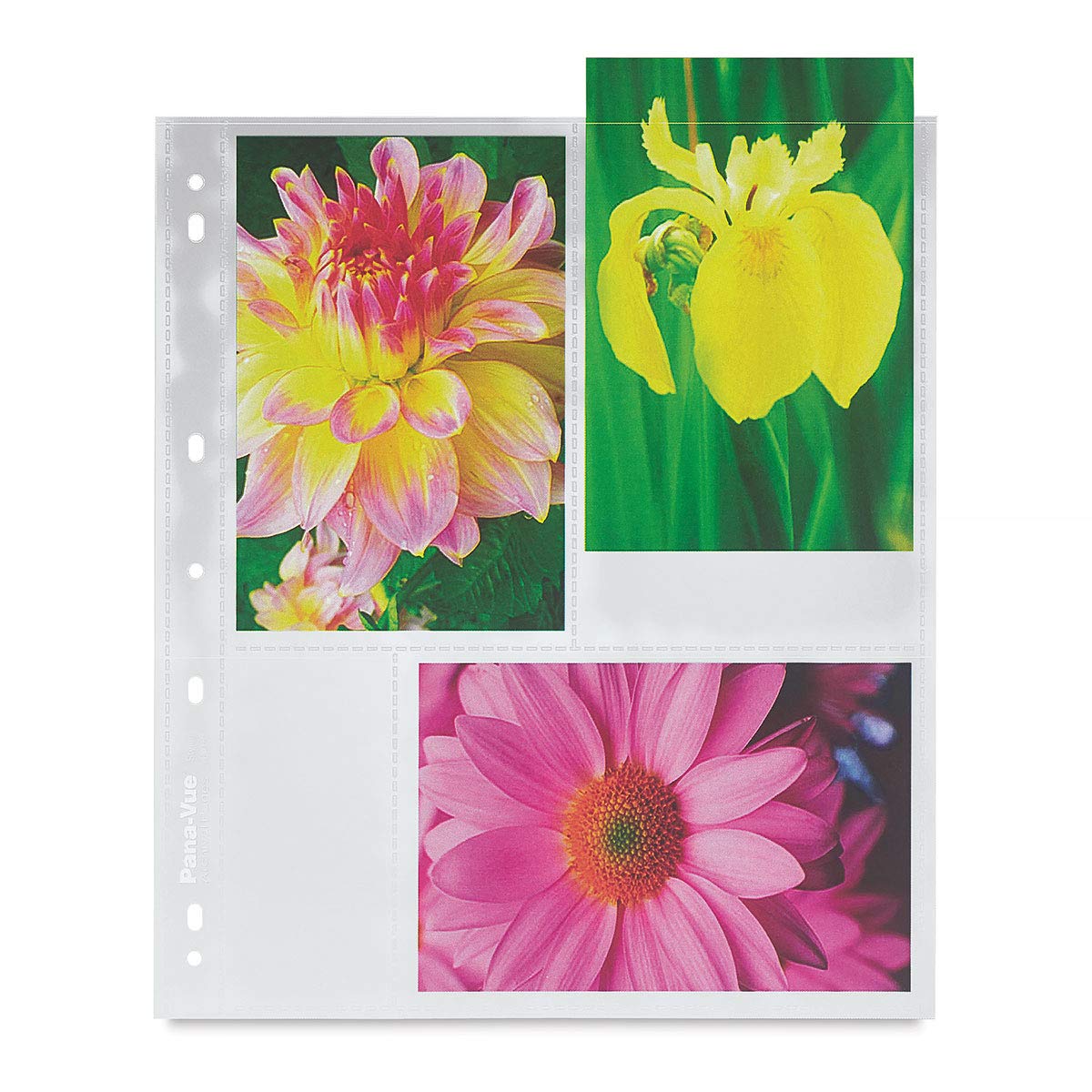 Pana-Vue Archival Pages