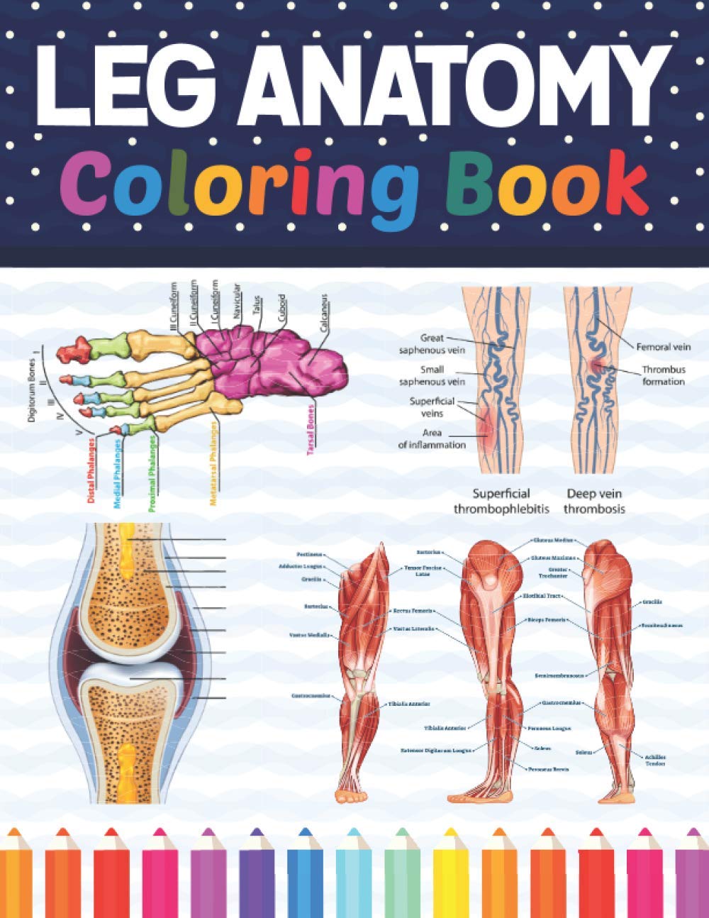 Leg Anatomy Coloring Book: Human Leg and Human Anatomy Learning Workbook.Human Leg Anatomy Coloring Book. Kids Anatomy Coloring Book. Human Leg ... Coloring Book for Kids Boys Girls Teens.