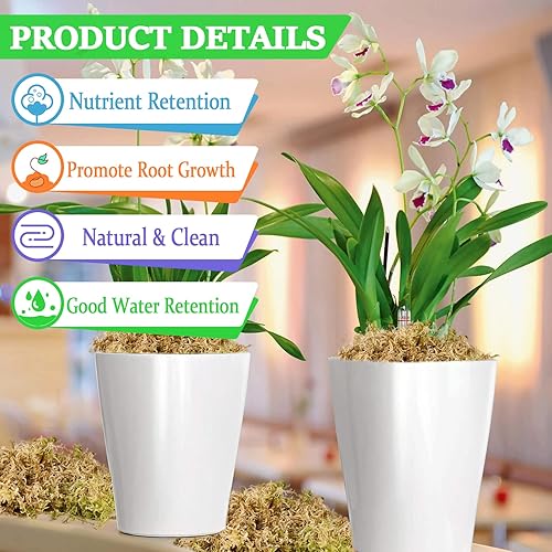 Miniatura 2 de Legigo Mezcla de musgo esfagnum de alta calidad de 1.1 libras, plantas carnívoras naturales secas con musgo, esfagnum de fibra larga, mediana para