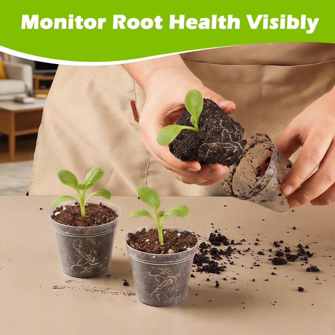 8 Cell Nursery Pot Trays 10 Pack (12"x6"x2") with 2.5 inch (6.5CM) Round Seedling Pots 80pcs (Clear), Plastic Seed Starter Tray with Removable Drain Holes for Carrying and Holding Plant Pot - Image 6