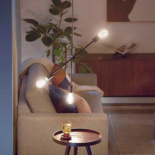 Miniatura 8 de Philips LED Espiral transparente vintage sin parpadeo ST19 regulable, tecnología EyeComfort, 500 lúmenes, luz diurna (5000 K), 5.5 W  60 W,