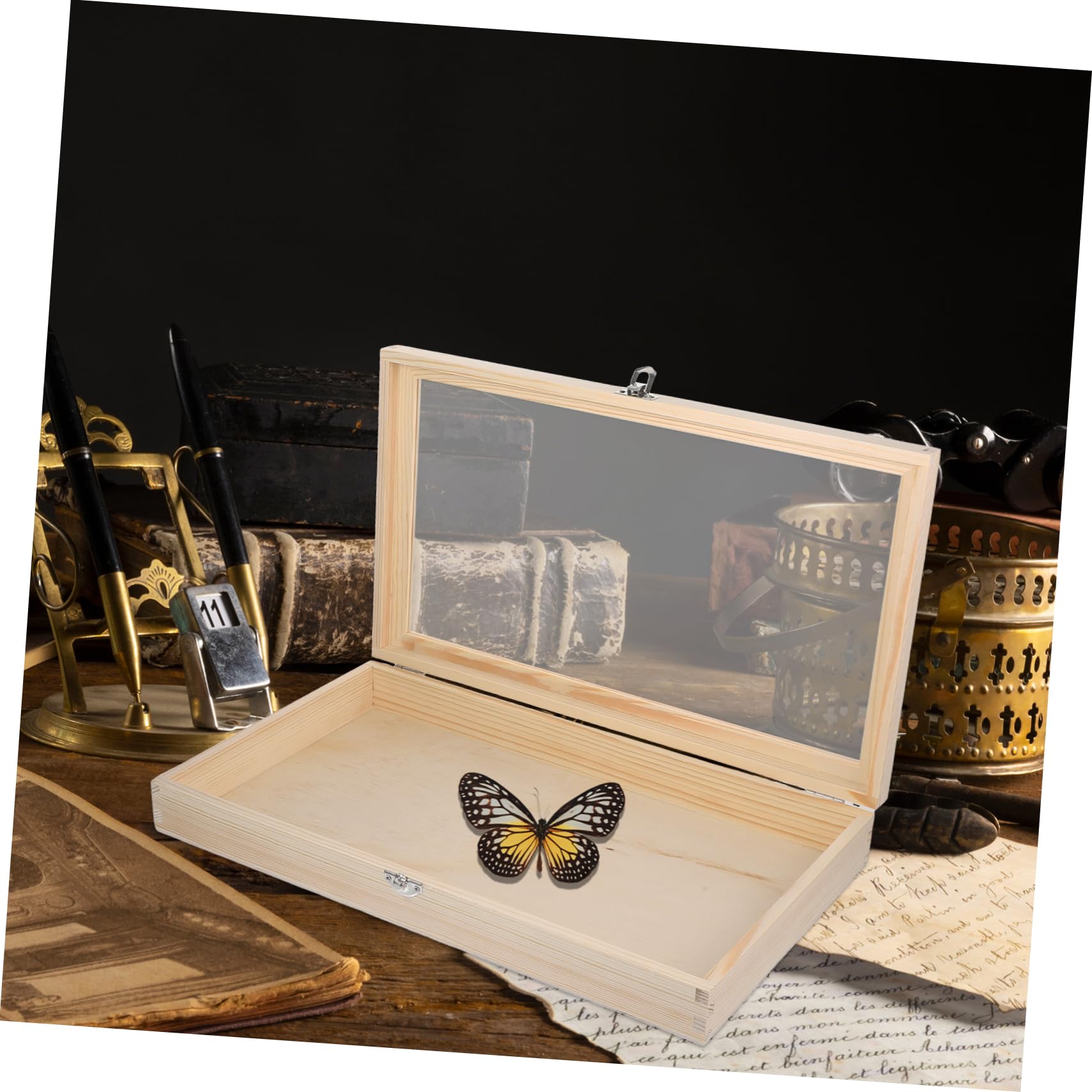 昆虫標本箱（ドイツ箱）モルフォ蝶2頭入り - T-WOOD'S GALLERY | minne