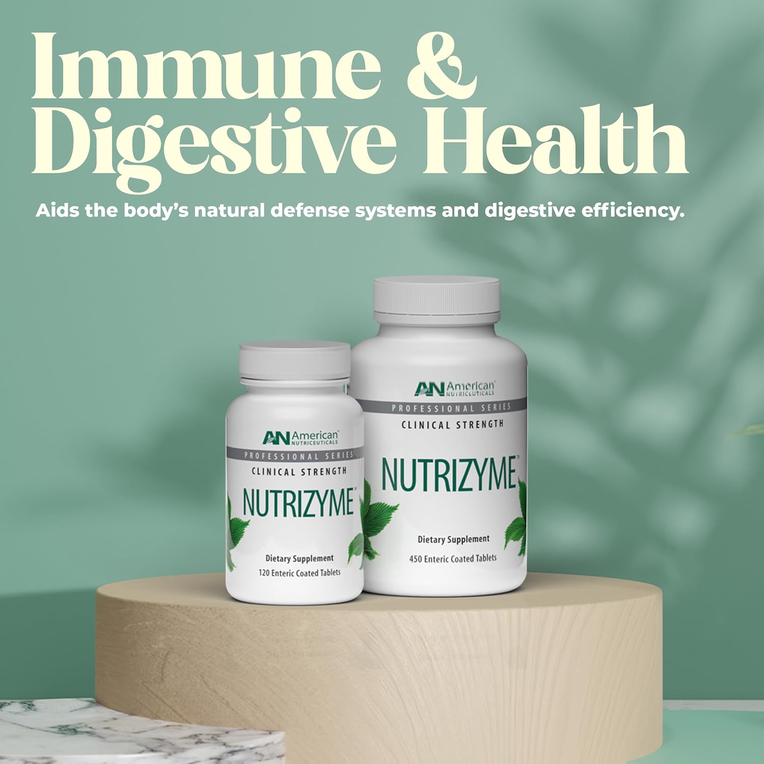 American Nutriceuticals – Nutrizyme – Professionally Formulated Proteolytic Enzyme Complex Tablets – Supports Immunity, Circulation & Metabolic Balance - 120 Count (1 Pack)