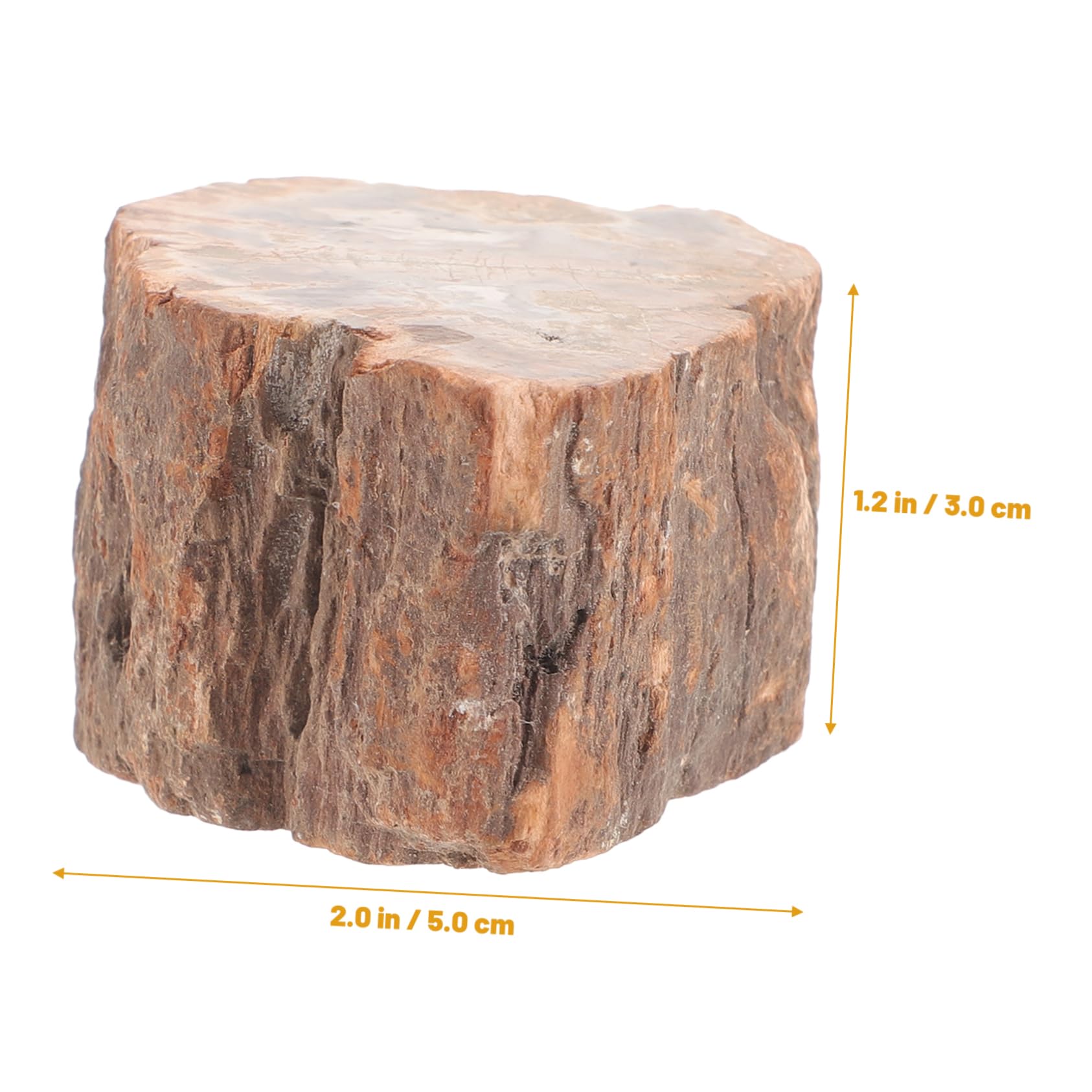 Amazon.co.jp: 石化した木の部分 石の木のテーブルの表示 天然木は自然