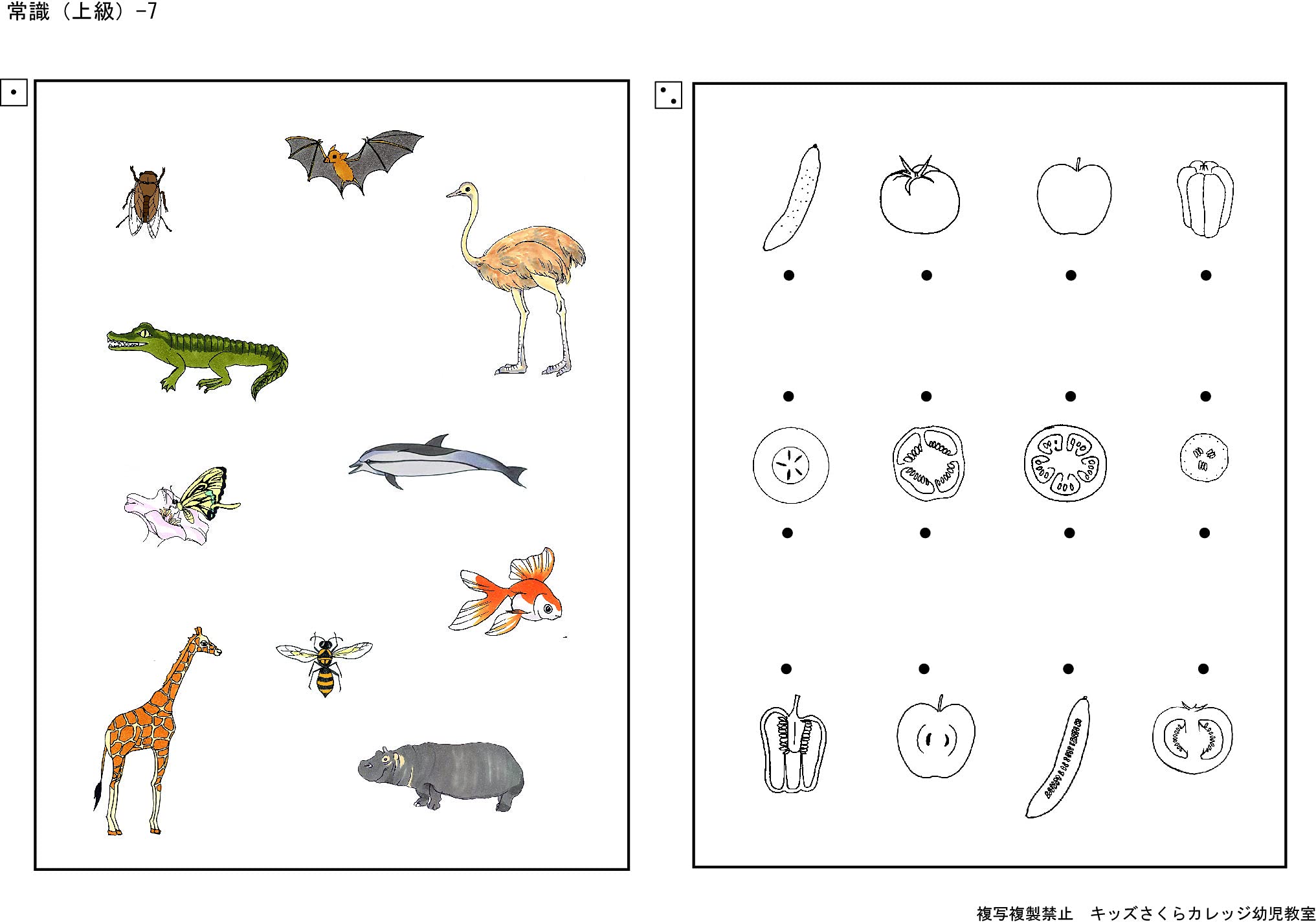 小学校入試の本セット Amazon.co.jp: 私立小学校入試 問題集 分野別 常識 上級セット : おもちゃ