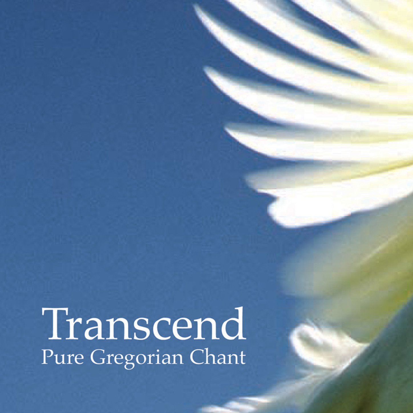 The Benedictine Nuns of St. Cecilia's Abbey