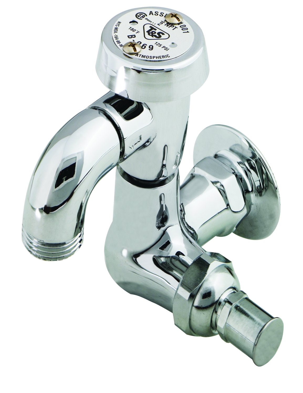 T&S Brass B-0720 Sill Faucet, Vacuum Breaker, 1/2-Inch Npt Female