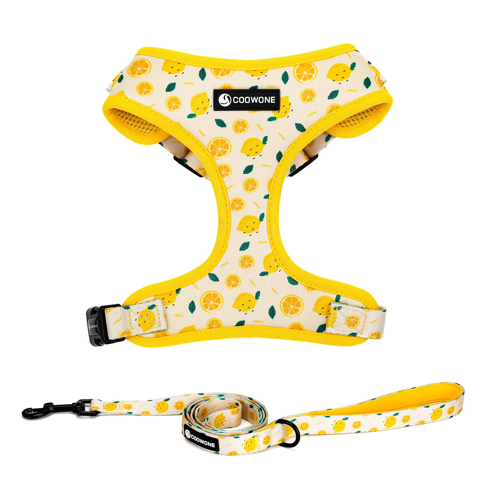 COOWONE Dog Leash and Harness Set, Soft Lightweight Mesh Step-in Puppy Harness, No Pull No Choke Adjustable Puppy Harness for Small Medium Dogs