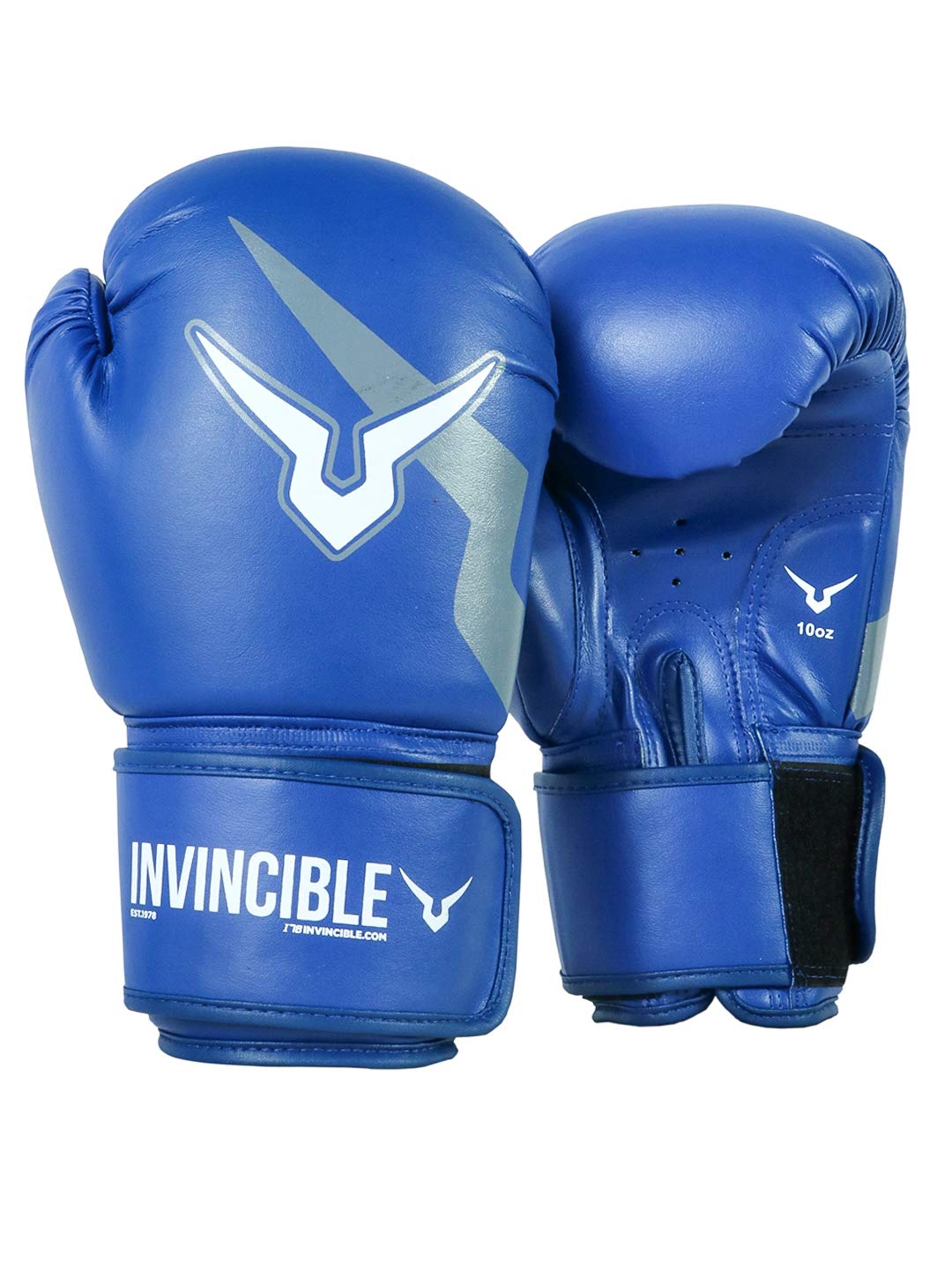 Invincible Amateur Training Boxing Gloves Blue Color (B07N1CBQ3Q) Amazon Price History, Amazon Price Tracker