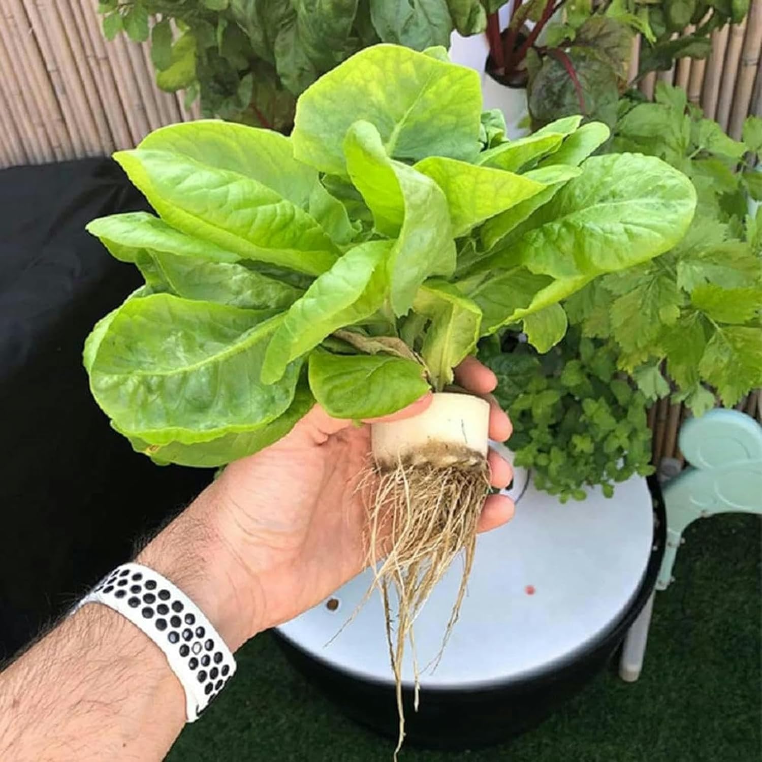 Torre idroponica, Sistema di Coltivazione idroponica da Giardino con 45 baccelli, Kit di Coltivazione aeroponica Garden Tower con Pompa e Serbatoio d'Acqua Mobile, per Giardinaggio