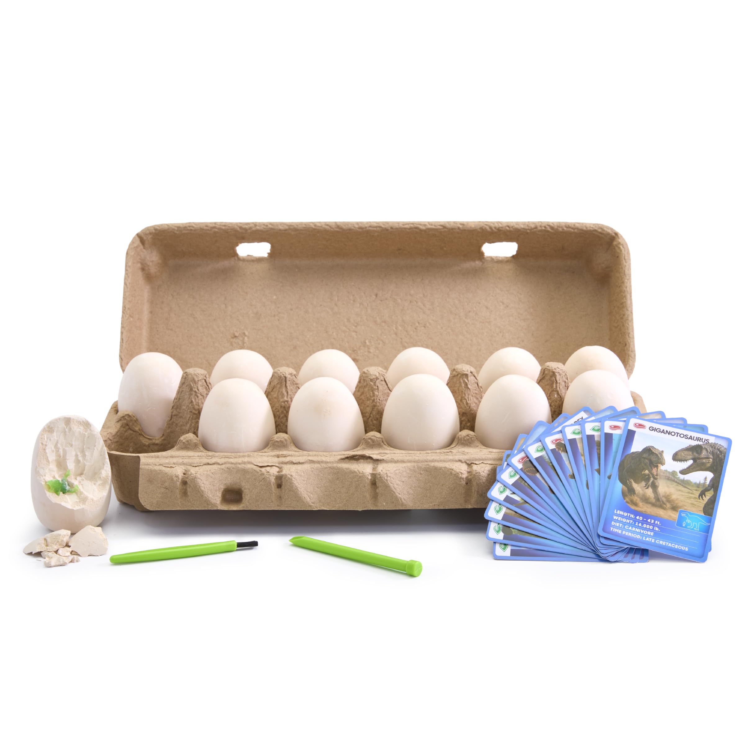Discovery Dino Excavation Eggs STEM Kit