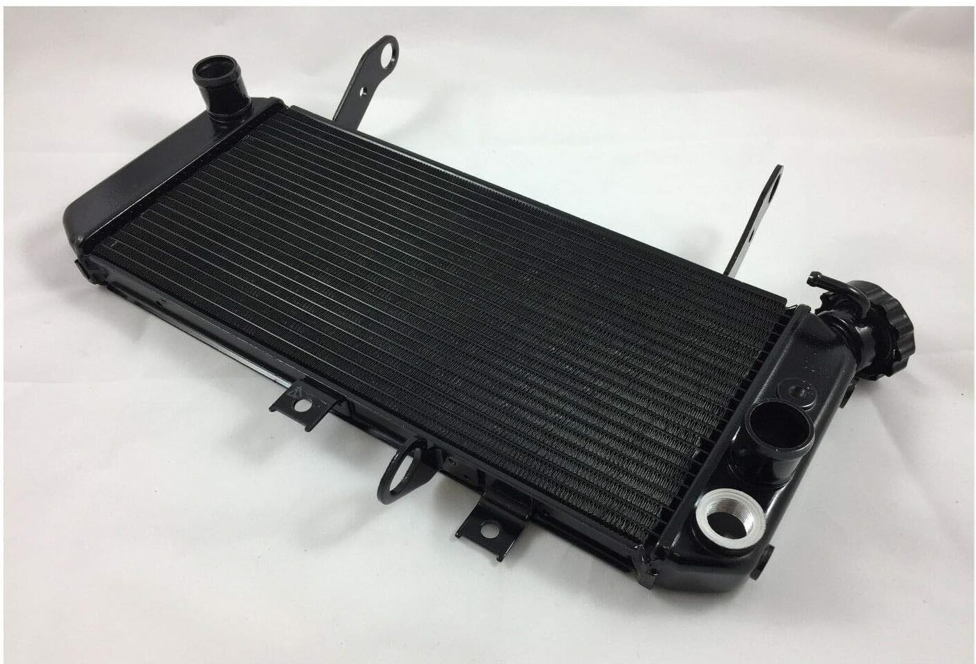 TERAM LOISIRS - Radiatore per Suzuki SV 650 SV650 N e S 2005 2006 2007 2008 2009
