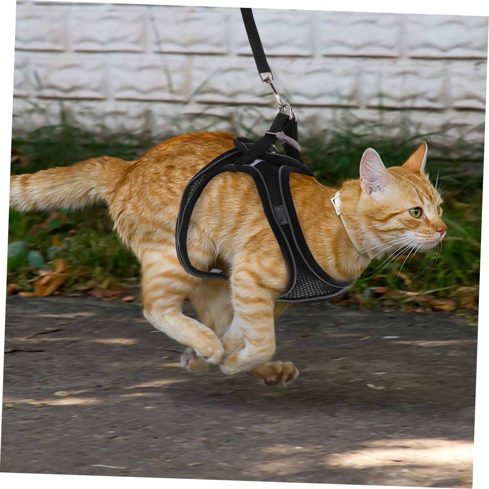 BESPORTBLE Comfortable Cat Harness Lightweight Walking Harness 1.2m Leash for Outdoor Use
