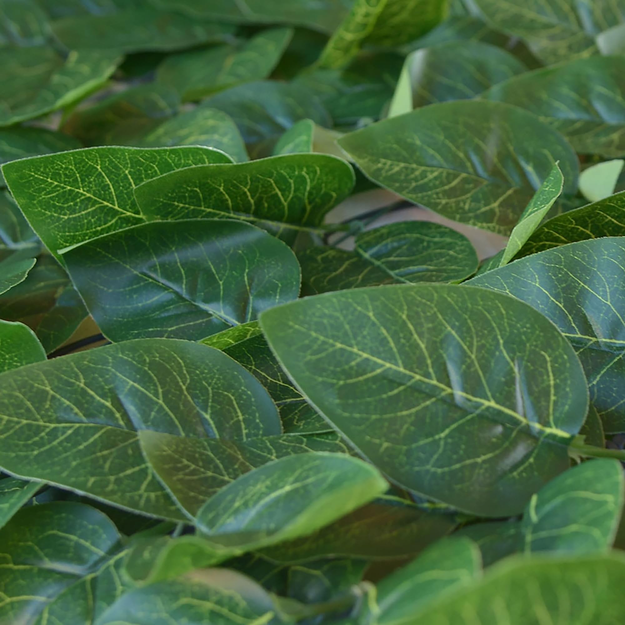 TENAX Divy Laurus PRO 100x300 cm Verde, Siepe Sintetica con Foglie in Polietilene Tipo Lauro per la Schermatura Frangivista di Balconi, Giardini e Recinzioni