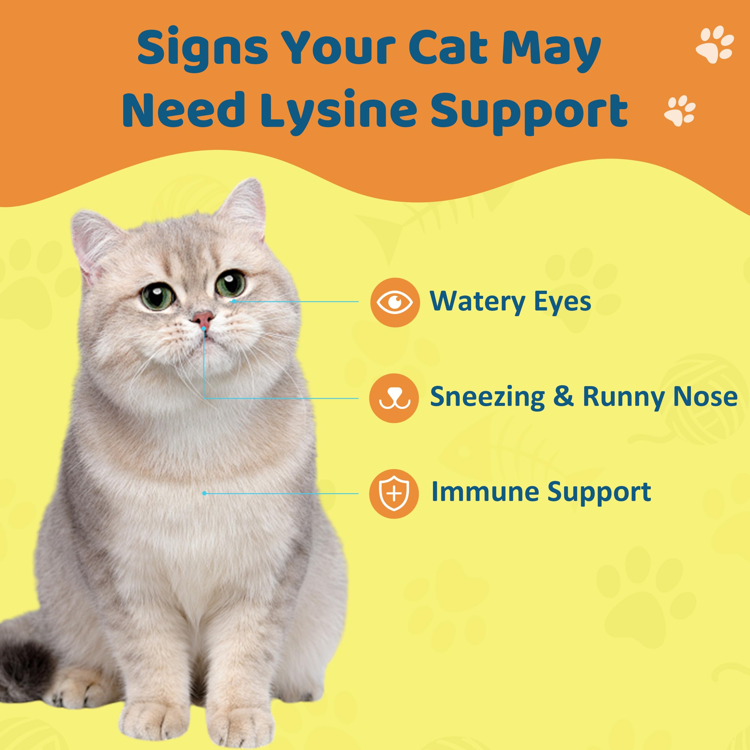 L-Lysine Supplement for Cats – Immune & Respiratory Support, Liquid Lysine for Sneezing, Runny Nose & Eye Health, Chicken Flavor, 60 mL — Amazon image 2