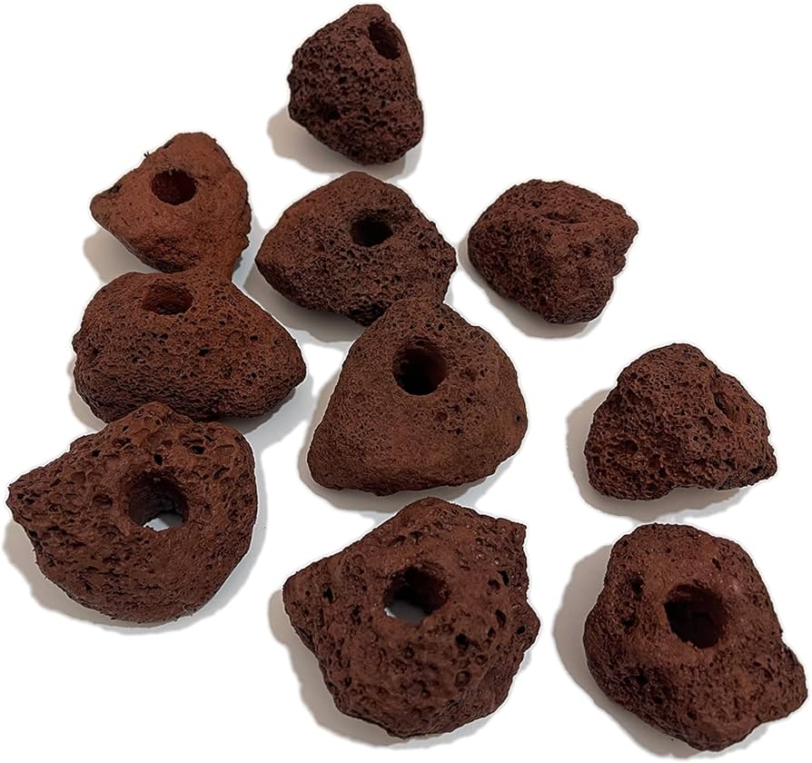 Amazon | S-NET 溶岩 石 火山 岩 水槽 穴あき オブジェ 10個 セット