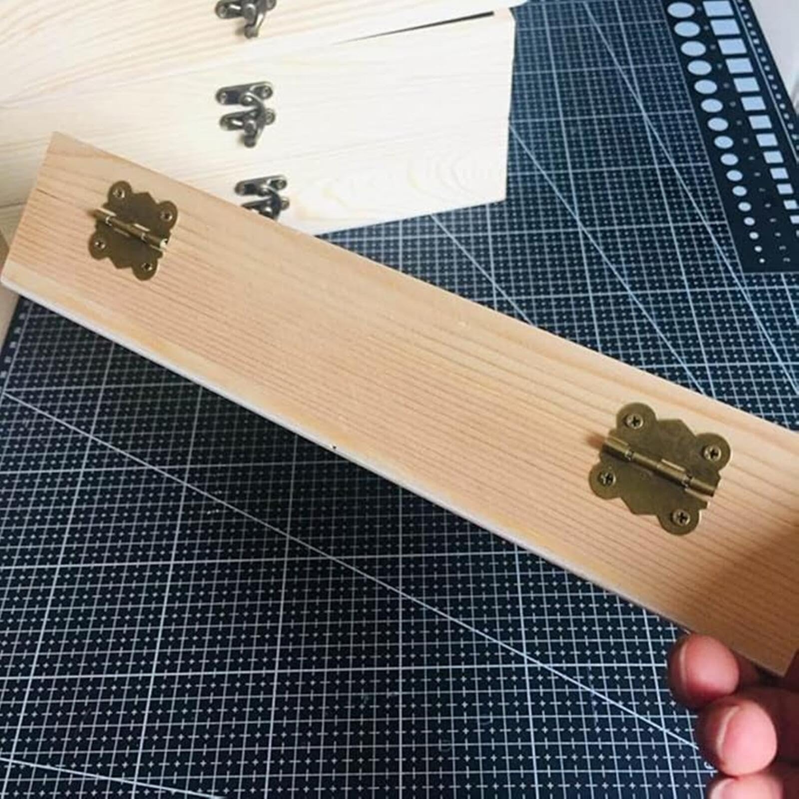 Amazon | 標本箱 標本ケース 木製 標本表示 ディスプレイボックス 透明