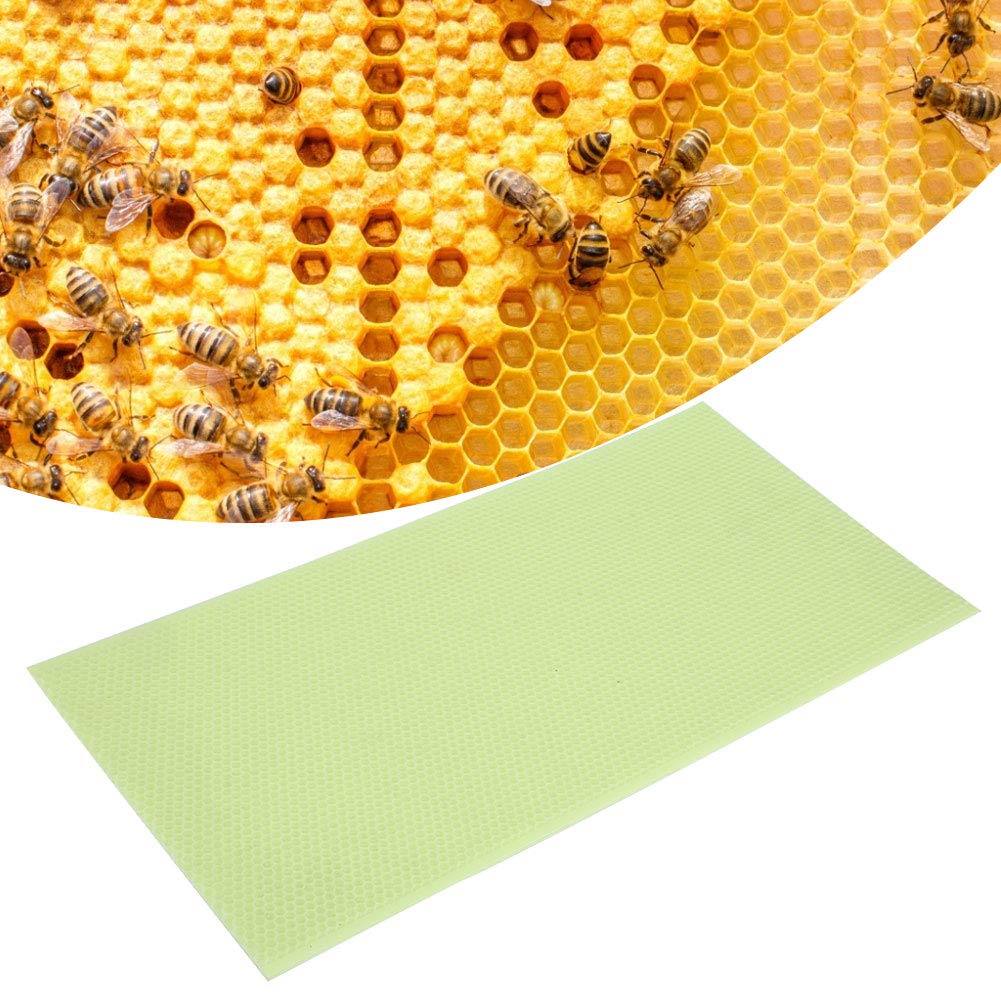 10 Pièces équipement D'outils D'apiculture, Cadre De Ruche, Feuille De Miel D'apiculture en Plastique Vert Cire d'abeille Fondation De Ruche Fournitures D'apiculture