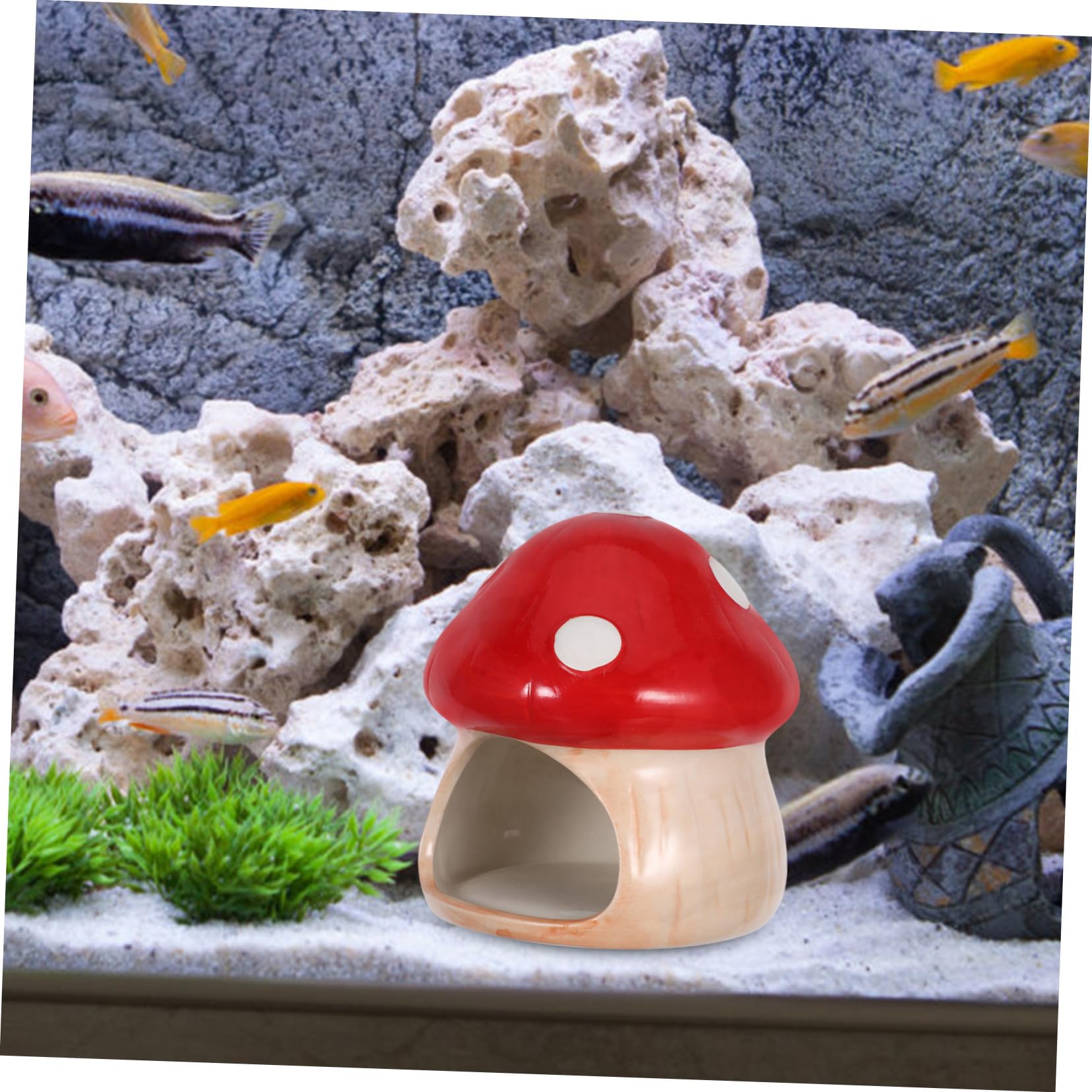 Hohopeti Fischhöhle Für Aquarium Goldfische Zuchthöhle Pilz Aquarium Dekor Garnelen Versteck Höhle Pilzhaus Kleine Garnelenhöhle Keramik Pilzhaus Ornament Betta