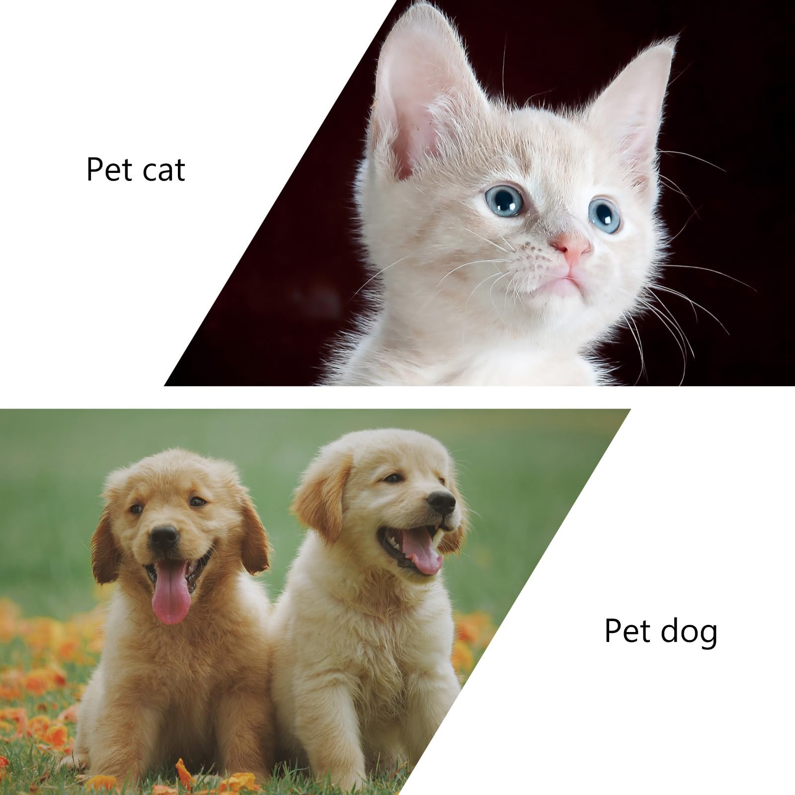 VALICLUD Erhöhter Keramik Katzennapf mit Großer Kapazität rutschfest und Leicht zu Reinigen für Katzen und Hunde zum Füttern im Alltag