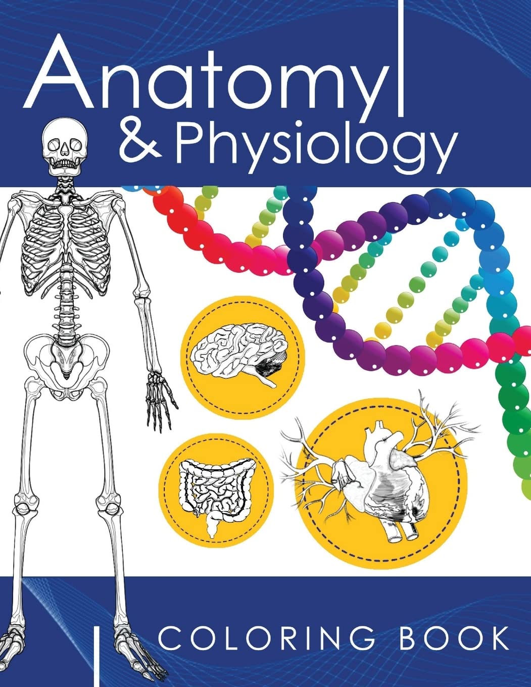 Anatomy & Physiology Coloring Book: A Complete Study Guide (3rd Edition)