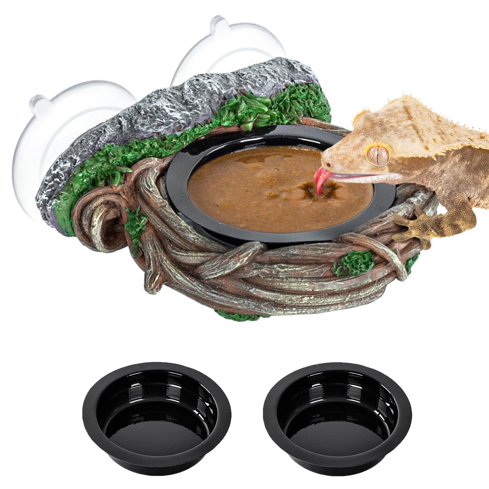 REPTI ZOO Crested Gecko Feeding Ledge, Reptile Water Food Dish for Bearded Dragon Lizard Snake Turtle, Vine Reptile Feeder Ledge Bowl with 2PCS Cups