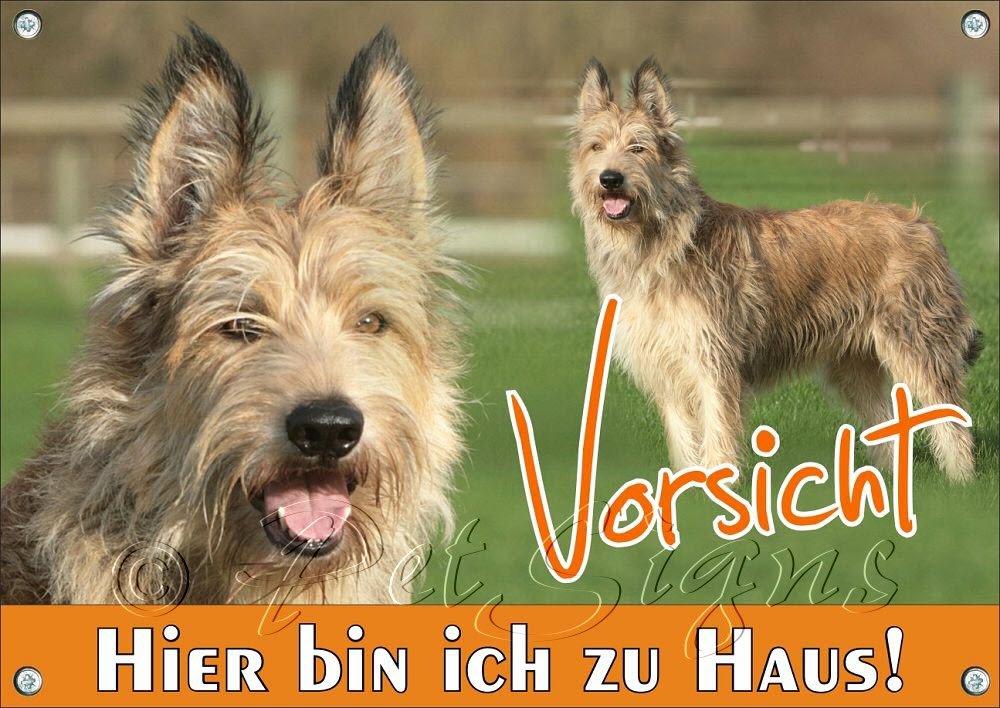 Berger Picard Warnschild – Aluminium Hundeschild 30,5x20 Cm Mit Lochung