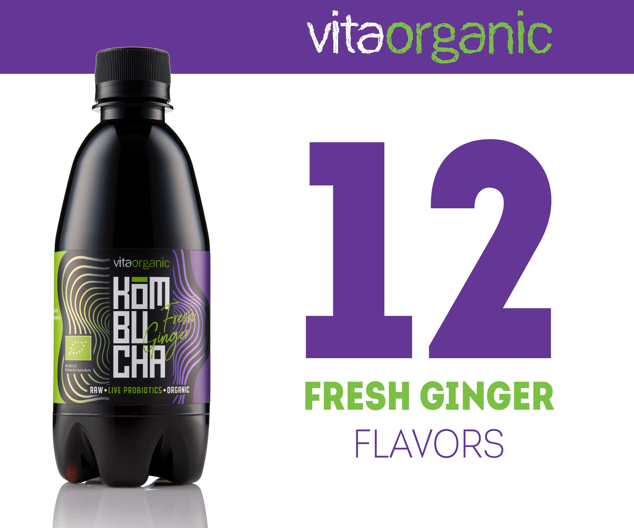 VitaOrganic Té de Kombucha Orgánico 330ml – Té Verde Espumoso con Cultivo de Kombucha Natural Viva – Bebida Fermentada Naturalmente y 100 % Orgánica – Bebida de Té Cruda, Vegana, Sin Gluten y Lactosa