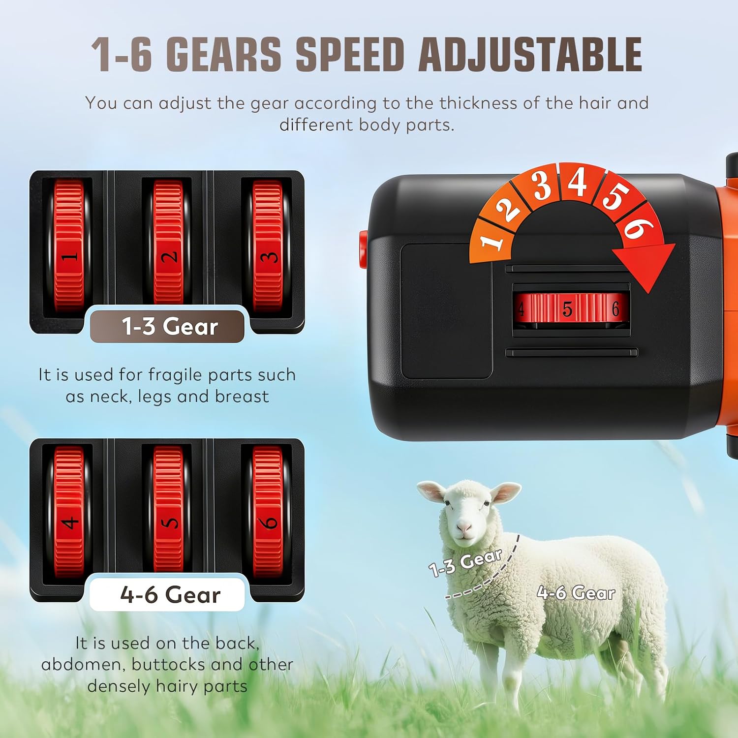 CGOLDENWALL Tosatrice Professionale per Pecore Elettrica 690W 2400RPM, 6 Regolazioni di Velocità, con Cavo di Alimentazione da 5 Metri, per Pecore Alpaca Capre - Olio Lubrificante Incluso