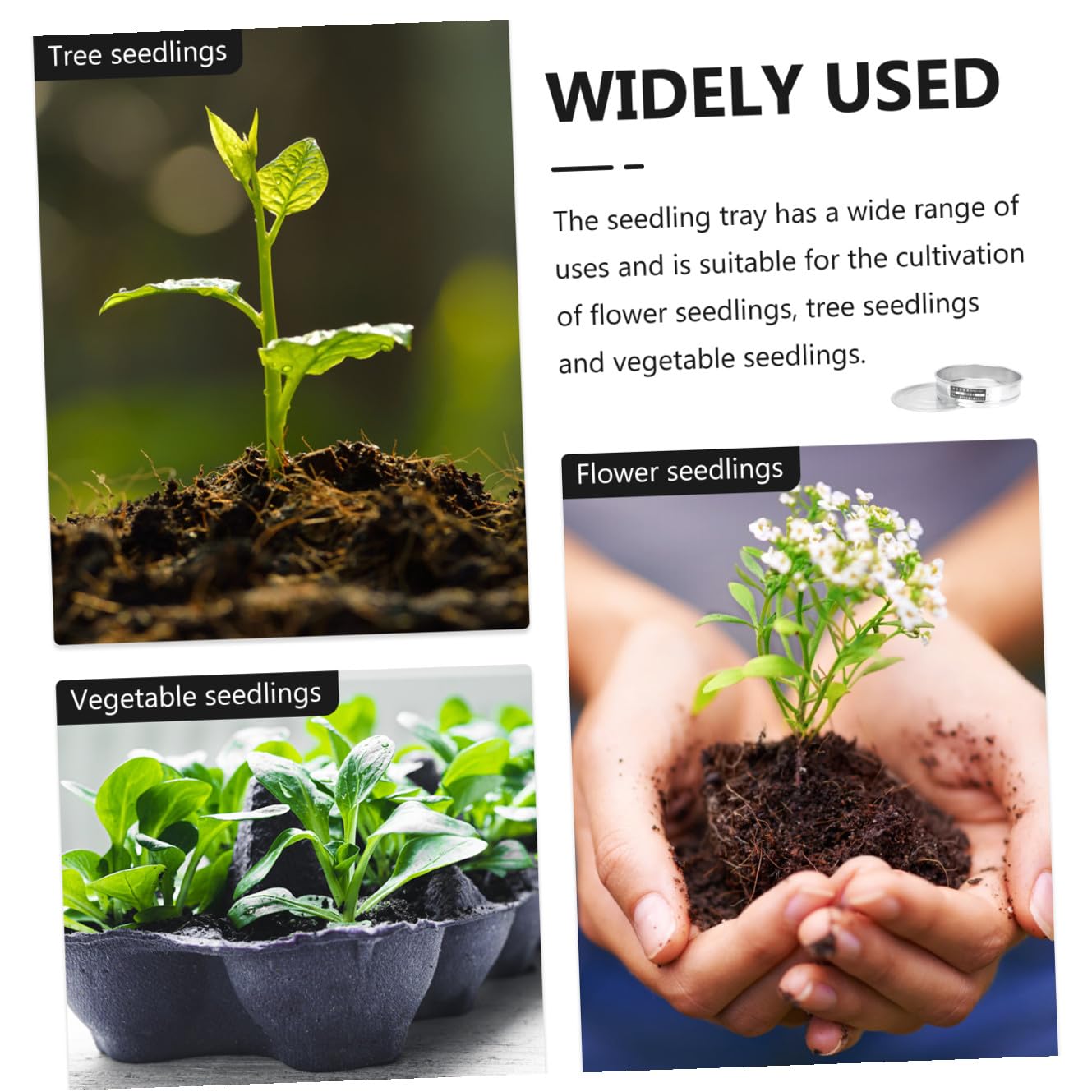 Toddmomy 1satz Edelstahl Anzuchtschale Mit Deckel Zellen Stapelbar Für Keimung Und Gartenarbeit Langlebig Für Pflanzenliebhaber Und Gewächshausanwendungen