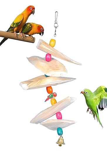 AVI CRAVE Cuttlefish Bone Toy for Birds,Calcium for Birds,Minerals,for Parrots,Budgies,Cocktail,Love Birds ( Extra Large )