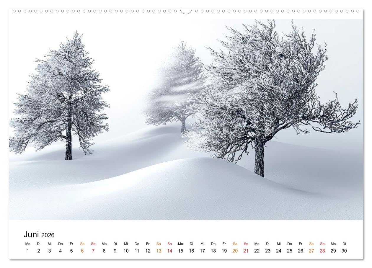 Winterzauber - Nordwind und Schneegestöber (hochwertiger Premium Wandkalender 2026 DIN A2 quer), Kunstdruck in Hochglanz: Erleben Sie die Poesie des Winters - jeden Tag aufs Neue. (CALVENDO Natur)